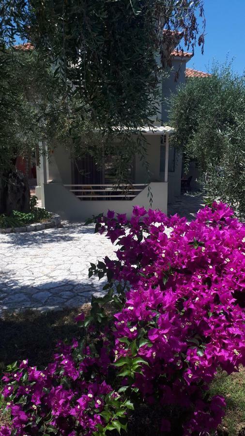 Sivota Apartments Parthenia Kültér fotó